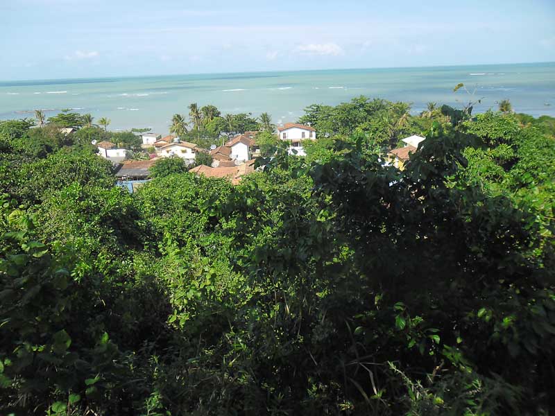 Site Taquiprati - Pataxó: quando fogo e palavras se cruzam